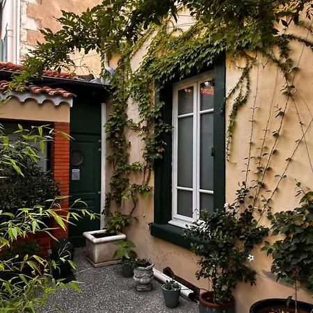Renee Apartment